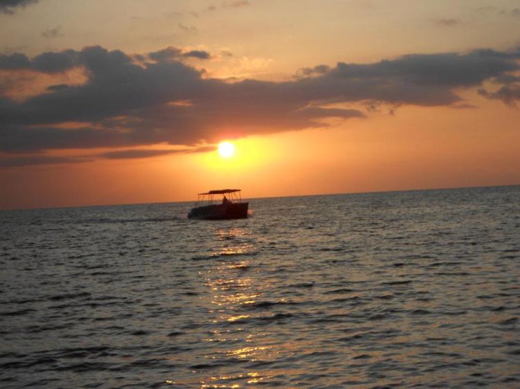 401202_10150531542092860_18325017_n