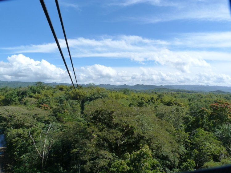 464922_10150747735582860_1323616809_o